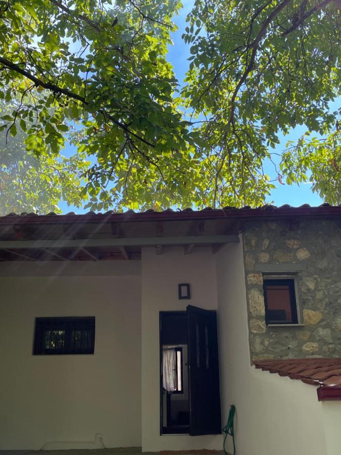 Stymfalia Cozy Village Guesthouse Karteri  Zewnętrze zdjęcie